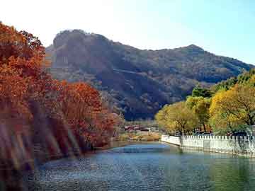 新澳天天开奖资料大全旅游团，丽挺丰胸组合